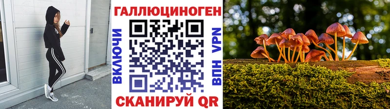 Галлюциногенные грибы Psilocybine cubensis  Курчатов 