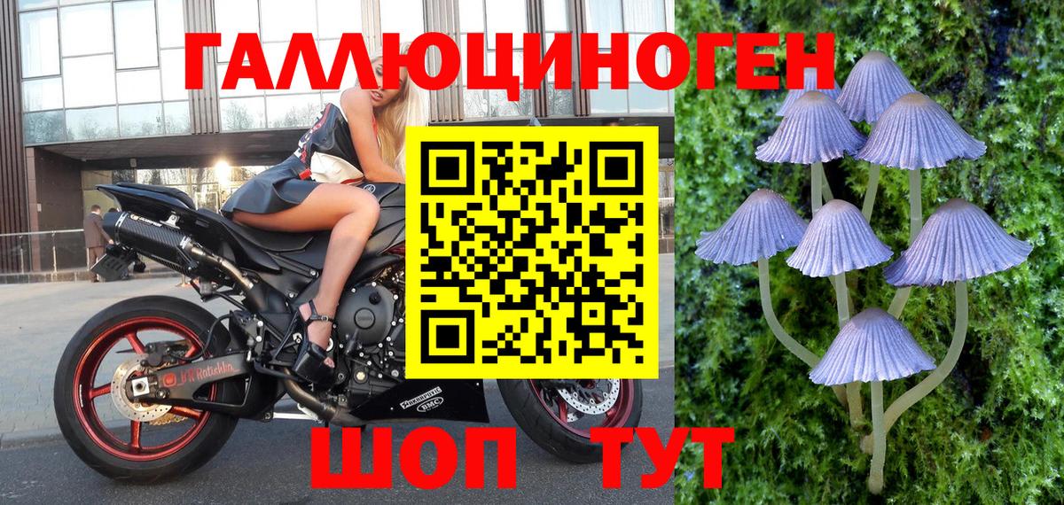 Псилоцибиновые грибы мицелий  Вход с VPN  Курчатов  Псилоцибиновые грибы ЛСД 